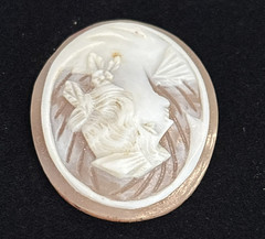 Loose Antique Carved Shell Cameo Portrait Lady Styled Hair Detailed Background