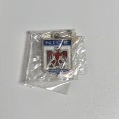Nice Argent Silver & Enamel Pendant-Travel Shield Charm Unused