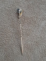 Victorian Antique Pea Pod Stick Pin 5 Seed Pearls of Graduated Size + Red Stone