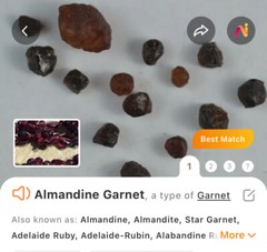 vtg 35″ Cluster Bohemian Garnet Necklace Single Strand with vtg Clip Earrings