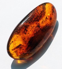 VINTAGE/ ANTIQUE GENUINE BALTIC AMBER BROOCH WITH FOSSIL INSECTS 19.5g