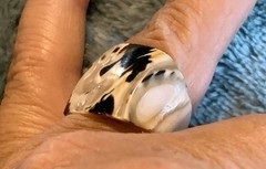 Vintage Stunning Carved Mother Of Pearl (Zebra Colors) Ring -Size 5.25