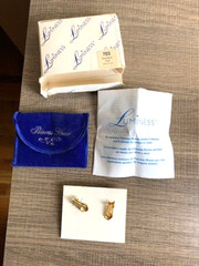 Vintage Princess House Luminess #703 Bold Matte Clip Earrings New in Pouch & Box