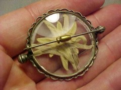 ORIGINAL ANTIQUE ENCAPSULATED EDELWEISS FLOWER PIN BROOCH MOUNTAIN CLIMBER