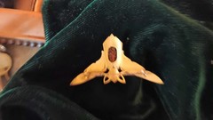 Antique French Art Nouveau Real Scarab Pendant