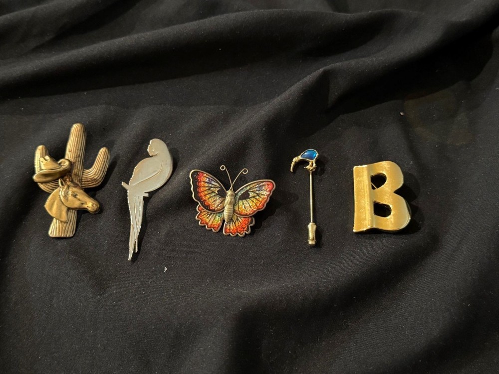 5 Vintage Pins Brooches Western Themed Parrot Butterfly Kiwi “B” See Description