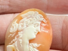 Vintage Loose Hand Carved Shell Cameo Woman with Bird on Head 1 1/8 Inch x 7/8In