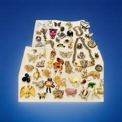 Huge Lot Different Vintage Animals Bugs Pins Necklaces Bracelet Lot