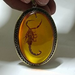 Amber scorpion pendant, natural insect fossil, vintage archaeological jewelry