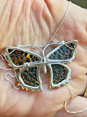 Butterfly Genuine Baltic Amber Necklace Vintage Egg Yolk Butterscotch Polish 老琥珀