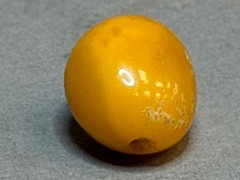 NATURAL OLD ANTIQUE YELLOW BUTTERSCOTCH BALTIC AMBER BEAD