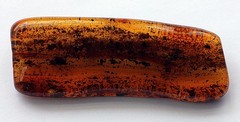 VINTAGE/ ANTIQUE GENUINE BALTIC AMBER BROOCH WITH FOSSILS AND INSECT 17.32g