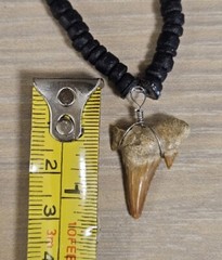 VINTAGE FOSSIL SHARK TOOTH WOOD PUKA SHELL BEADS CHOKER NECKLACE