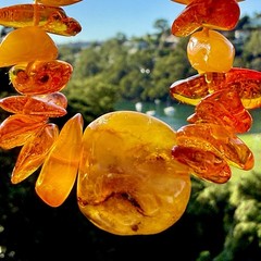 Natural Baltic Amber Necklace 19” Butterscotch Nuggets Large Center Amber Bead