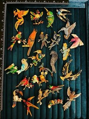 Lot of 25 Bird Rhinestone Enamel Parrot Hummingbird Colorful Jewelry Set