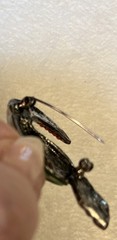 VTG Enamel Rhinestone Lucite Silver Metal Alloy Wire Rhinestone Bird Brooch 1950
