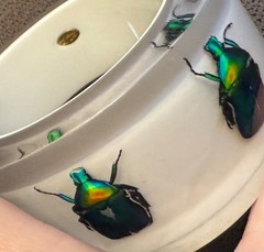 HUGE Kolos Designs Egyptian Revival Resin Lucite REAL Beetle Bug Estate Bracelet