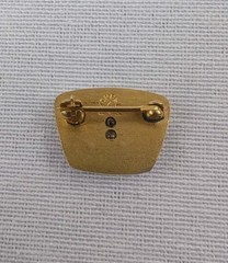 10k Solid Gold 1.96g General System GTE Two Star Service Emblem Telco Pin