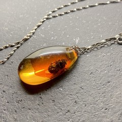 Splendid Amber Pendant with chain shaped like a Drop Bee