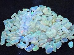 50 Carat Lot Natural Ethiopian Welo Opal Chips – Vibrant Multicolor Fire Play –