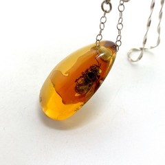 Splendid Amber Pendant with chain shaped like a Drop Bee
