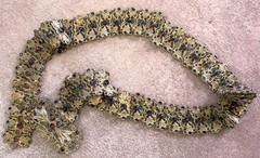Antique Austro-Hungarian Jeweled Enamel Belt – Renaissance Revival 19thC