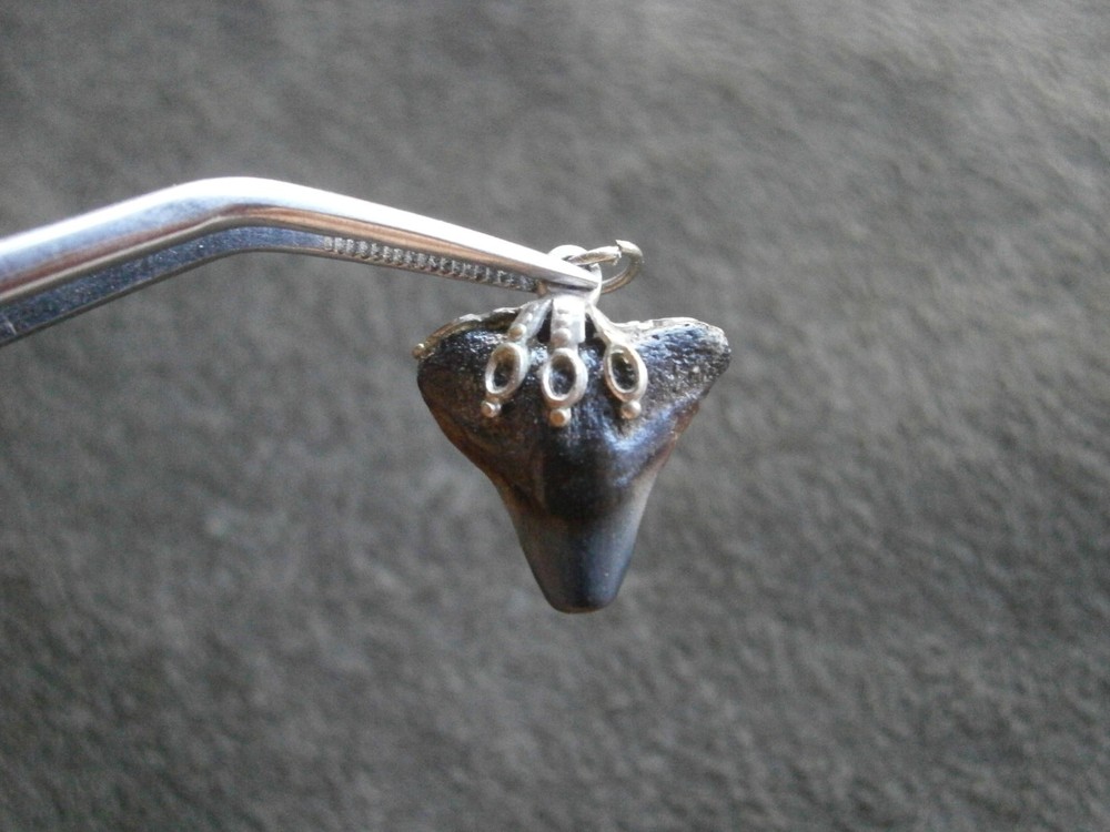 Genuine Black Shark Tooth Fossil Vintage Silvertone Mount Charm Pendant