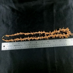 Vintage Kauai Pink Coral Branch Twist Necklace 12in Handmade Hawaii Authentic