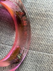 Clear Vibrant Pink Vtg Beetle Bracelet Translucent Resin, Lrg,1960s, NOS #16