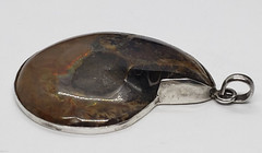 Vintage Large Ammolite Opalized Ammonite Mollusk Fossil Sterling Silver PENDANT
