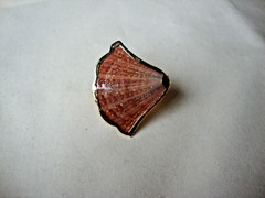 VTG HANDMADE NATURAL LACQUERED SEASHELL GOLD PLATED HINGED DRESS/SCARF CLIP