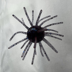 Plum urchin bait. 19mm 2.5 across. 2 per pack.