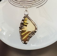 Butterfly Wing Pendant Eastern Tiger Swallowtail Necklace Artisan Jewelry Fairy