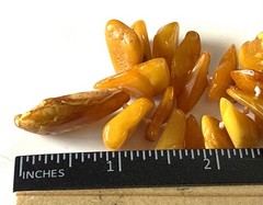 Vintage 80s Baltic Amber Necklace 10” Egg Yolk Honey Amber Nuggets Drop Pendant
