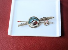 Vintage Silver Tone Enamel KREUZECK Ski Souvenir Pin Skis Poles Bavaria Germany
