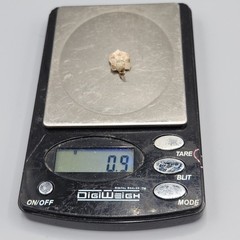 Vintage German Silver Plate LORELEY Rock Germany European Travel Shield Charm