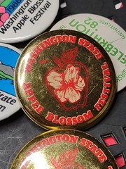 Lot Of 6 Vintage Washington State Apple Blossom Festival Pin Back Buttons