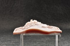 Vintage shell cameo “Girl with a flower hair ornament”, (65.0ct) sign by artist.