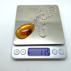 Splendid Amber Pendant with chain shaped like a Drop Bee