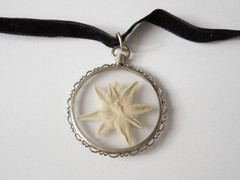 Chain Pendant 835 Silver Glass Edelweiss Velvet Band 8,8 g/ca.39 cm/5,3 x 3,8 cm