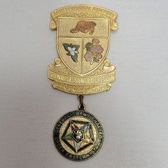 VTG Eastern Star General Grand Chapter 36th Triennial Assembly Pin Goldtone