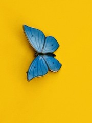 Marius Hammer Butterfly Brooch 930 Silver Blue Enamel Norway Norwegian REPAIR