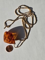 Amber. Thick. Many fossil inclusions. Latvia. Pendant on gold tone chain.
