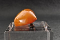 Baltic Royal Amber Brooch Date-shaped (36ｍｍ (1.41in) total 33.45ct) with case.