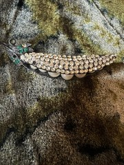 Vintage Weiss Pea Pod Brooch Rhinestones and Faux Pearls Signed