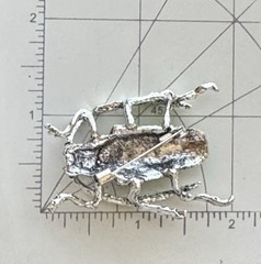 Beetle Insect enamel on silver tone metal