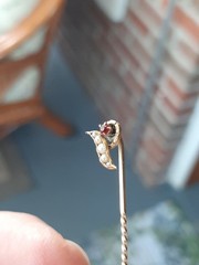 Victorian Antique Pea Pod Stick Pin 5 Seed Pearls of Graduated Size + Red Stone