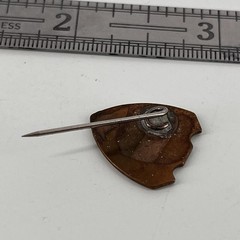 Vtg Military Lapel Pin Enamel Crest & Arrow Heads?