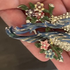 CORO Duette Brooch: Blue Calopsitta / Birds of Paradise