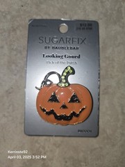 SUGARFIX by BaubleBar Looking Gourd Pumpkin Halloween Enameled Brooch Pin New!